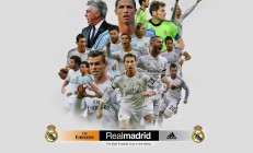 ac米兰体育官网-灰熊铁蹄踏碎热火防线，武切维奇总决赛舞台的终极证明