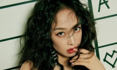 ac米兰体育官网-新星与铁蹄，拉梅洛点燃赛场，魔术铁蹄踏平森林狼